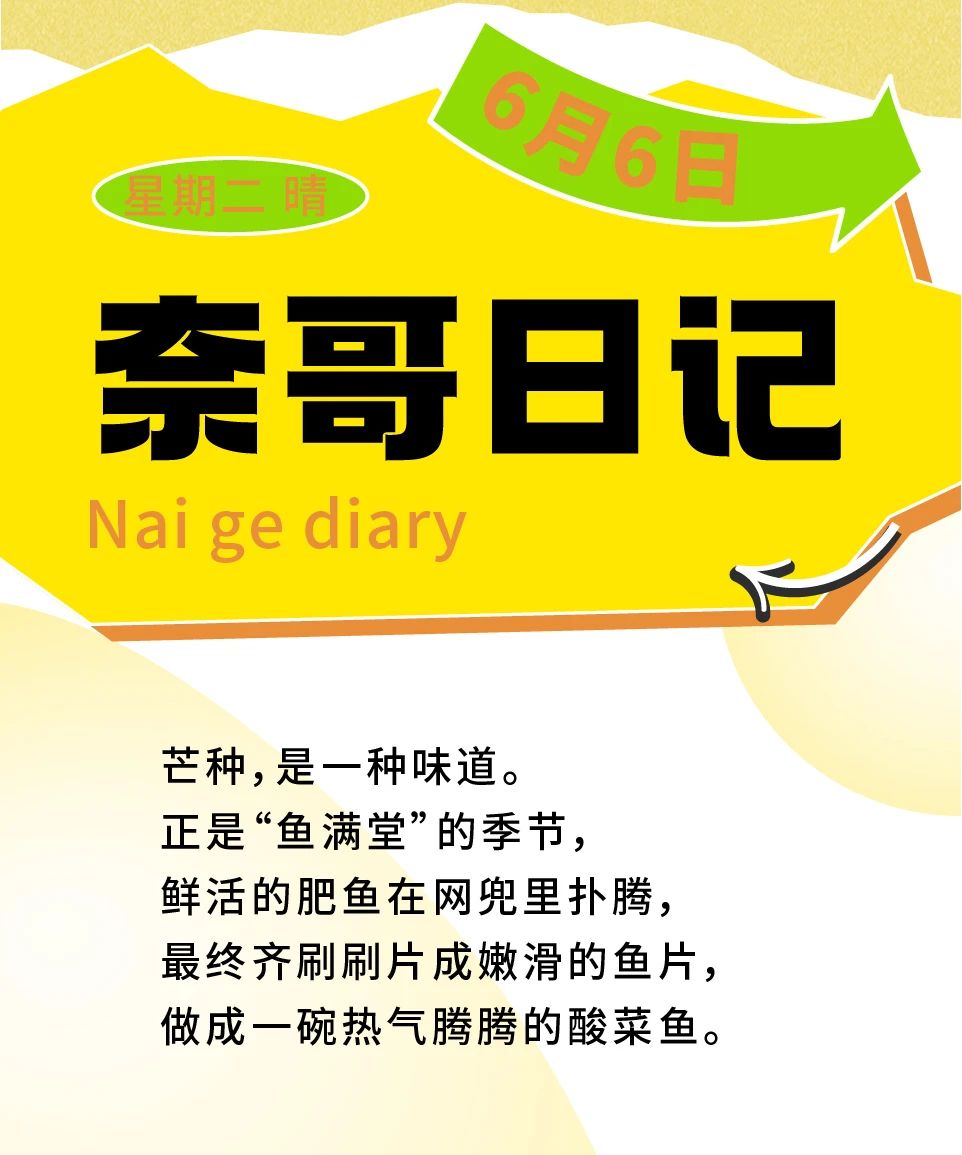 芒种|播种与收获同在，美味与匠心同行